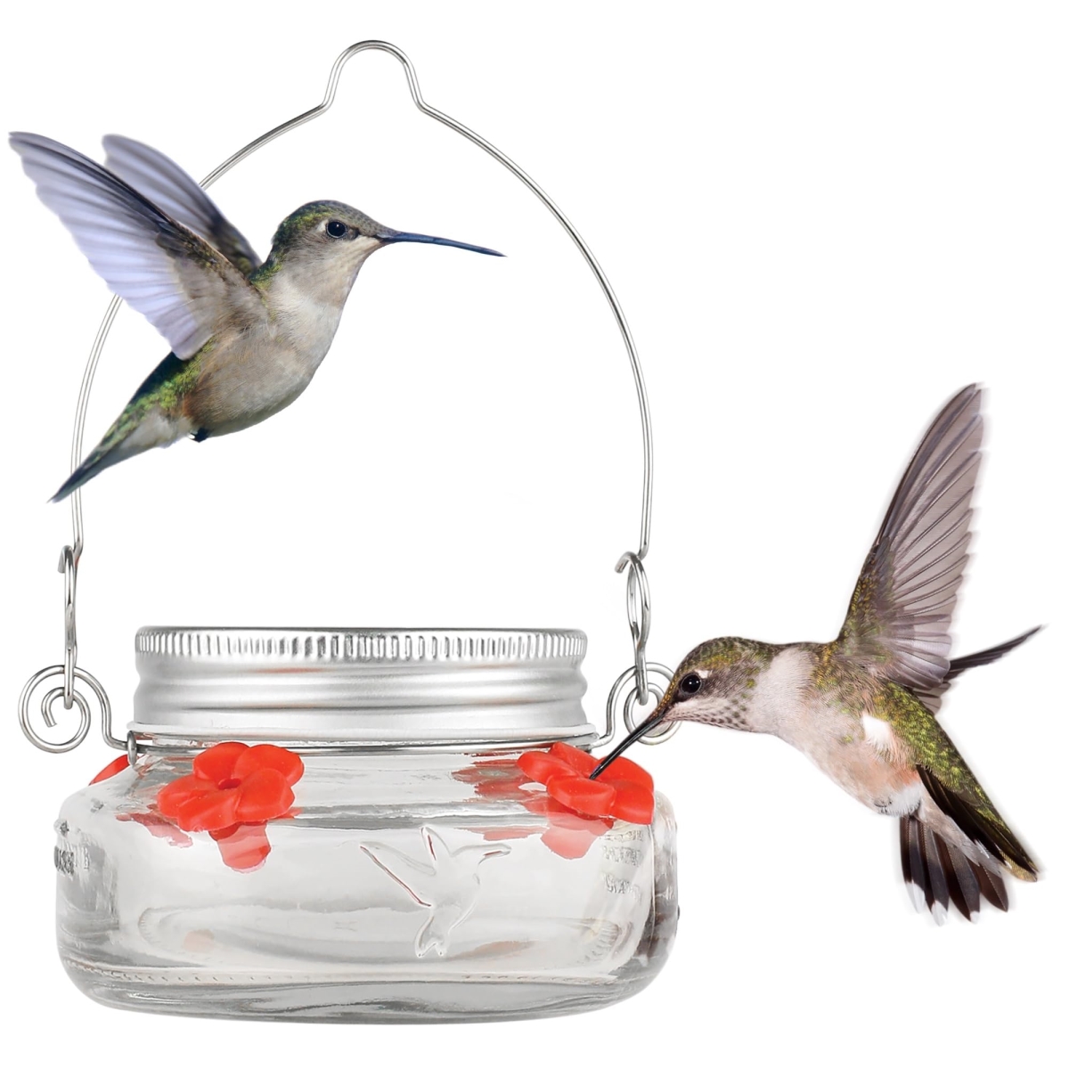 NT87795 Natures Way Mason Jar Hummingbird Dish Feeder, Clear