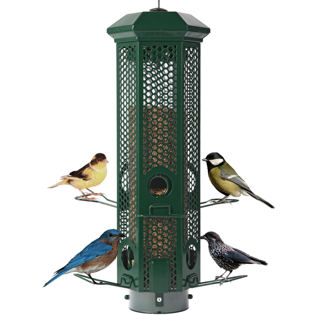 NT84755 Squirrel Proof Bird Feeder, Metal, 3 lbs Capacity, Green