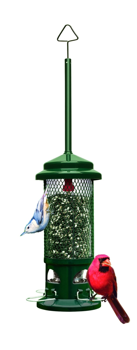 NT85970 Squirrel Buster Standard Squirrel-proof Bird Feeder, 1.3-pound Seed Capacity - Garden Green