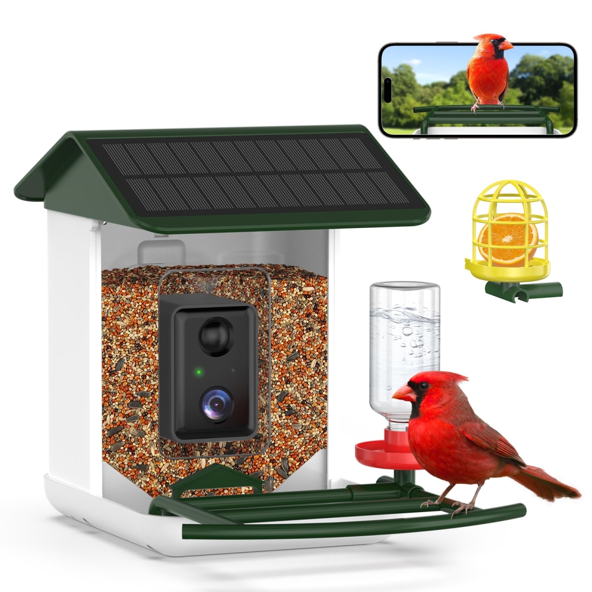 NT84411 Bird Feeder with Camera, Solar-Powered, App Alerts & Two-Way Audio for Garden - Blackish Green