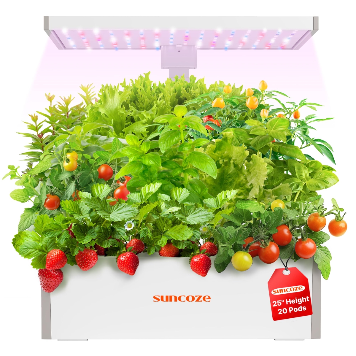 NT84872 SUNCOZE Hydroponics Growing System Kit 20 Pods, Indoor Herb Garden with Grow Light, 10L Water Tank, Built-in Pump - White