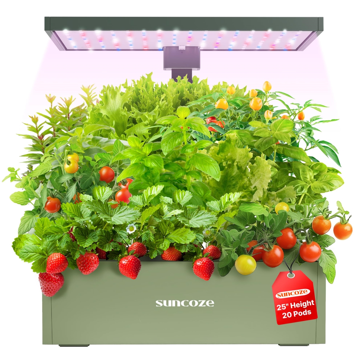 NT84873 SUNCOZE Hydroponics Growing System Kit 20 Pods, Indoor Herb Garden with 30W Grow Light, 10 Liter Water Tank - Avocado Green