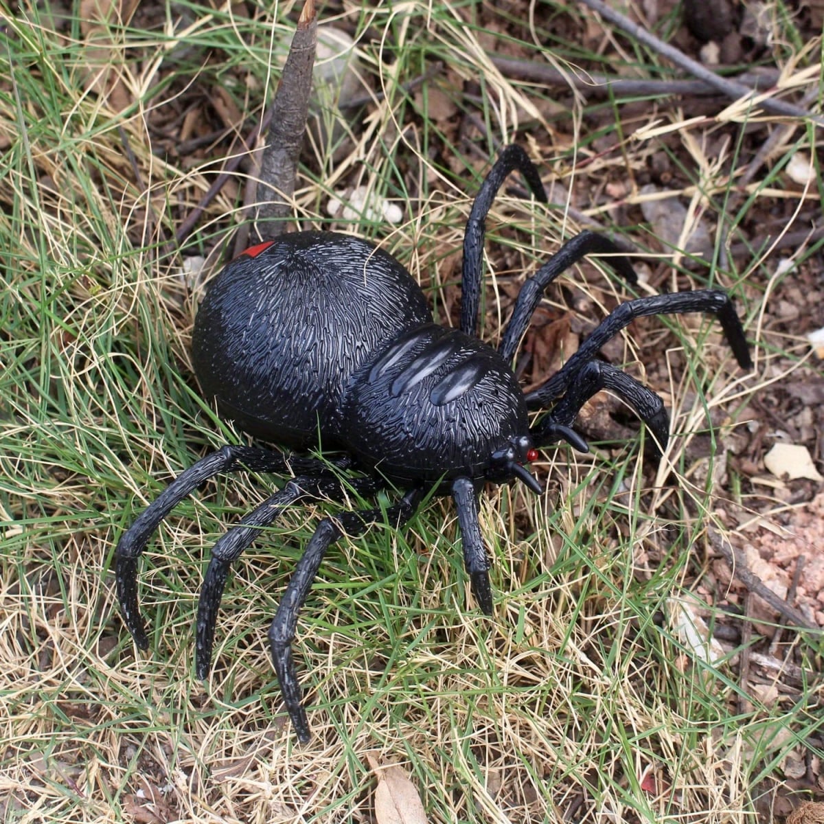 NT32776 Remote Control Tarantula Realistic Animal Crawler Scary Tipmant Remote Controlled Spider, Black