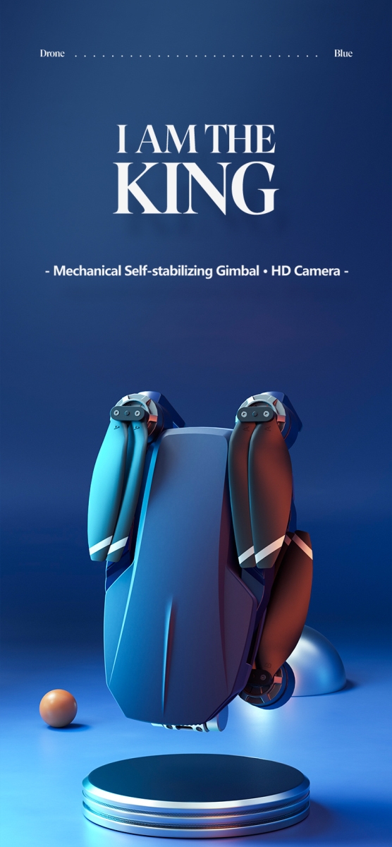 NT31697 Drone with HD Camera, GPS & Ultrasonic Positioning
