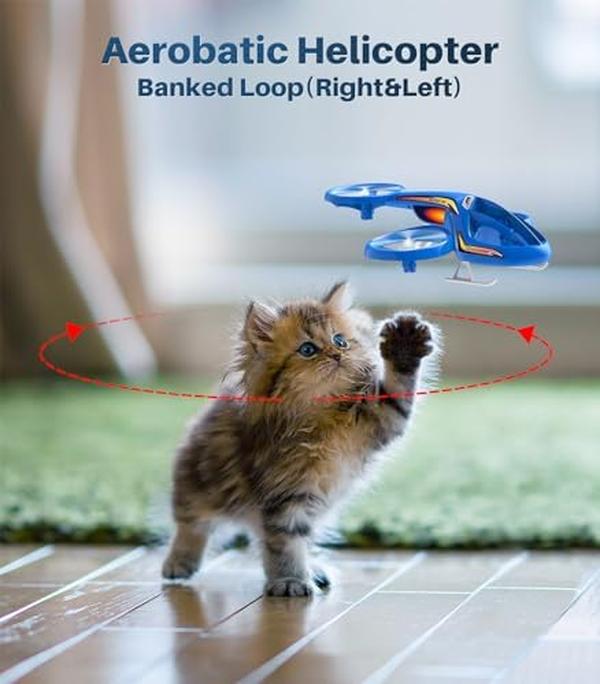 NM55564 Remote Control Helicopter with Aerobatic Flight