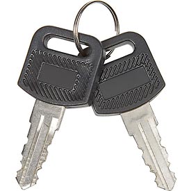 RP9017 Replacement Keys for Charging Cabinets & Carts 985748, 251761, 987877, 987878, 670051, 670052 - Set of 2