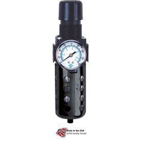 Filter & Regulator, Zinc & Polycarbonate Bowl, 0.38 in. NPT, 150 PSI - Black