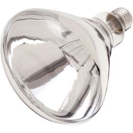 Picture of Satco Products B564553 250W Incandescent with Medium Base Bulb