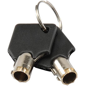 RP9053 Replacement Keys 2 for Inter Office Mailboxes 443490 & 443491
