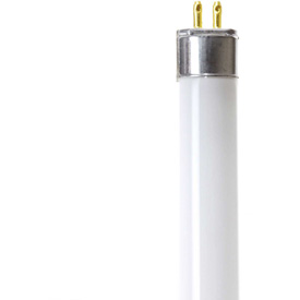 B1452513 13W Fluorescent T5 Bulb, Mini Bi-Pin, Cool White