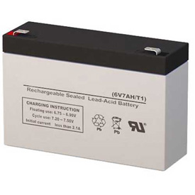 Picture of Acuity Brands Lighting 501245 Lithoni Replacement Battery&#44; Lead Calcium&#44; 6V&#44; 6.5AH