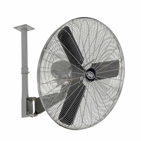 Global Industrial 795974 Global Deluxe Ceiling Mount Fan, 30 in. dia.