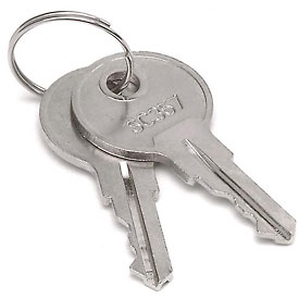 Replacement Keys - Gray - Set of 2 - Compatible with Multiple Cabinet Models