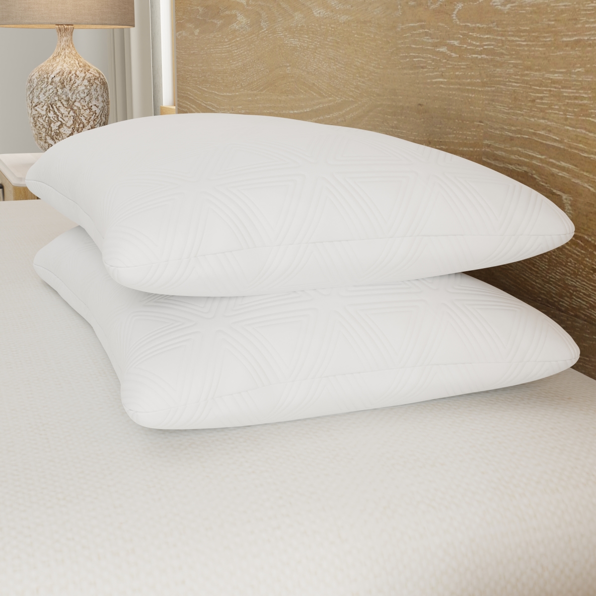 CO123N Plush Queen Size Pillow