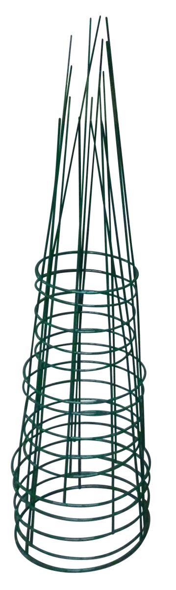 Glamos Wire Products 749292 42 in. Heavy Duty Evergreen Plant Support - Pack of 5