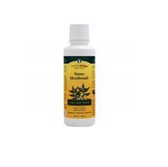 Picture of Theraneem Naturals 1888007 16 fl oz Mouthwash Neem Herbal Mint