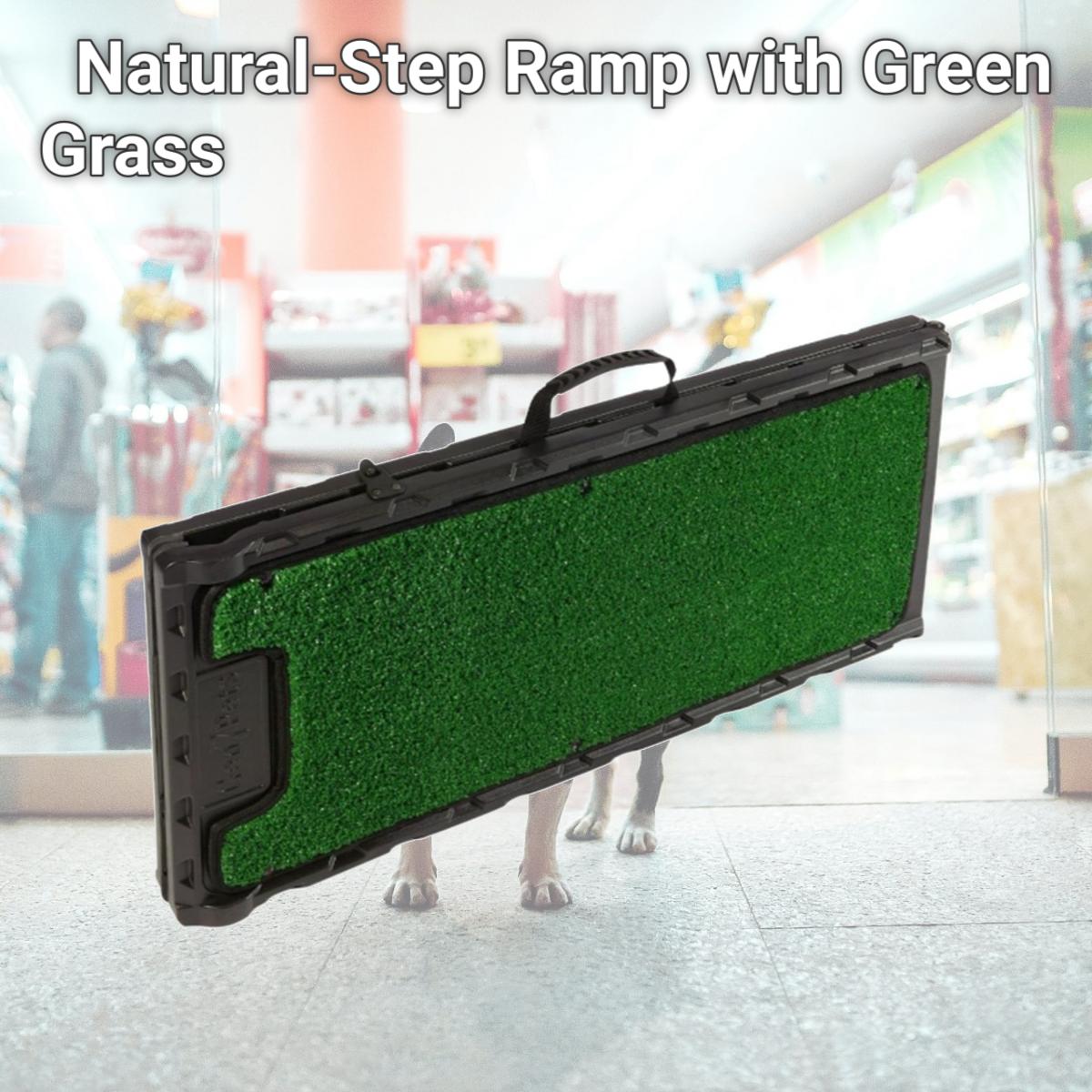 Picture of Gen7Pets G7572NS Natural-Step Ramp with Green Grass