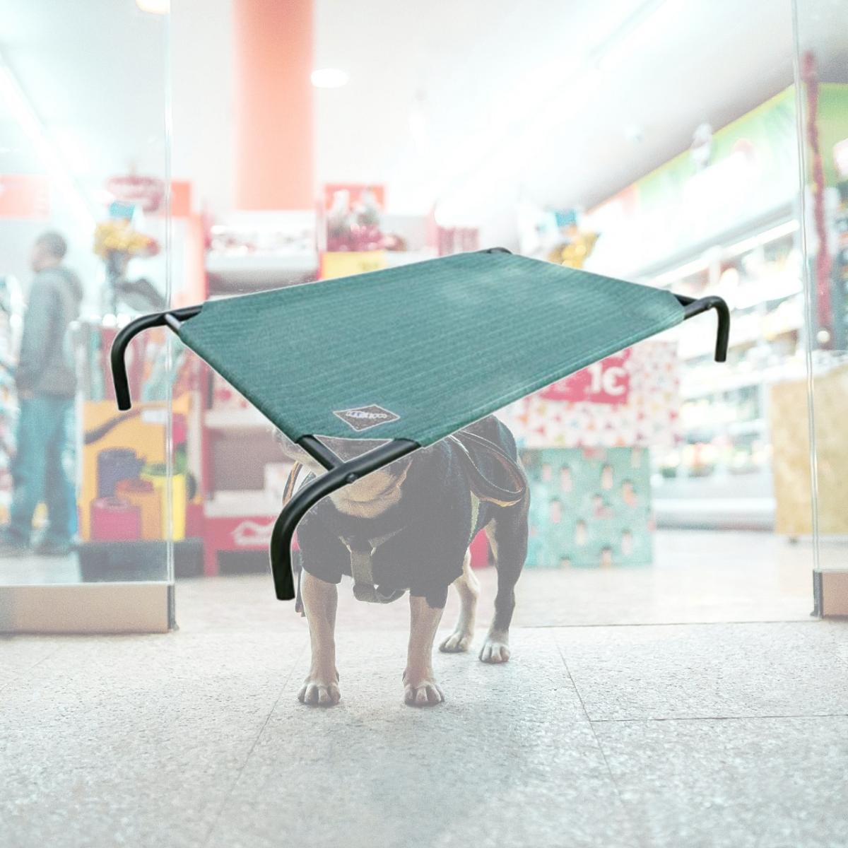 Picture of Gale Pacific 317263 Small Steel Pet Bed - Brunswick Green