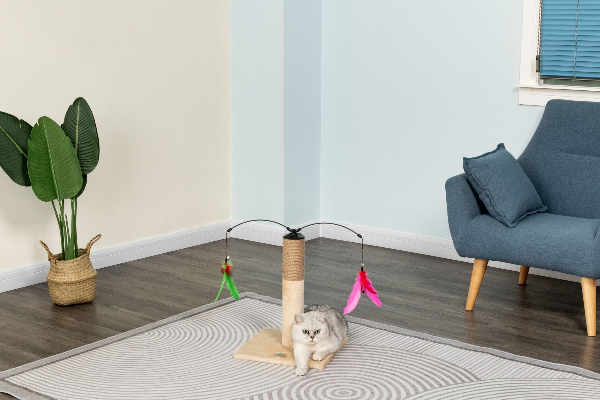 Picture of Go Pet Club FS811 Everyday Value 19in Scratching Post with Interactive Hanging Toy&#44; Beige