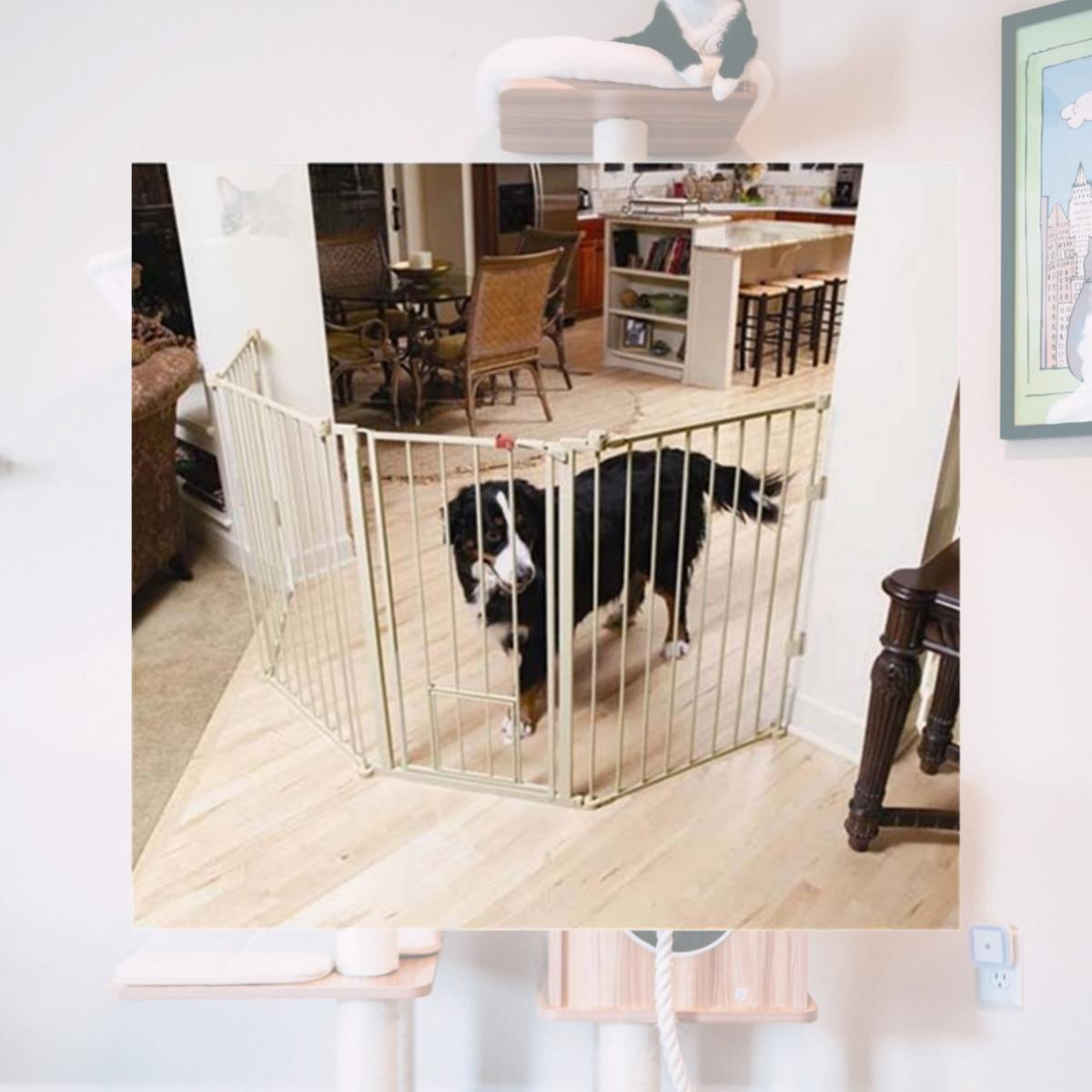 Picture of Carlson 1510HPW Flexi Extra-Tall Walk-Thru Gate with Pet Door