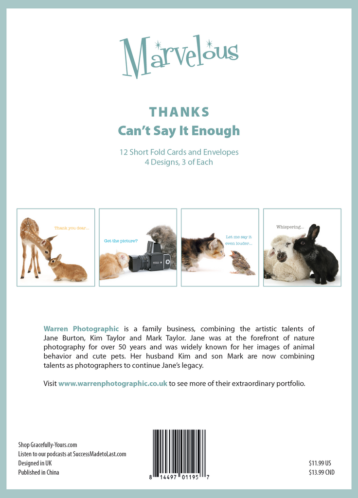 Thanks- Cant Say Enough From Marvelous Brand Greeting Cards