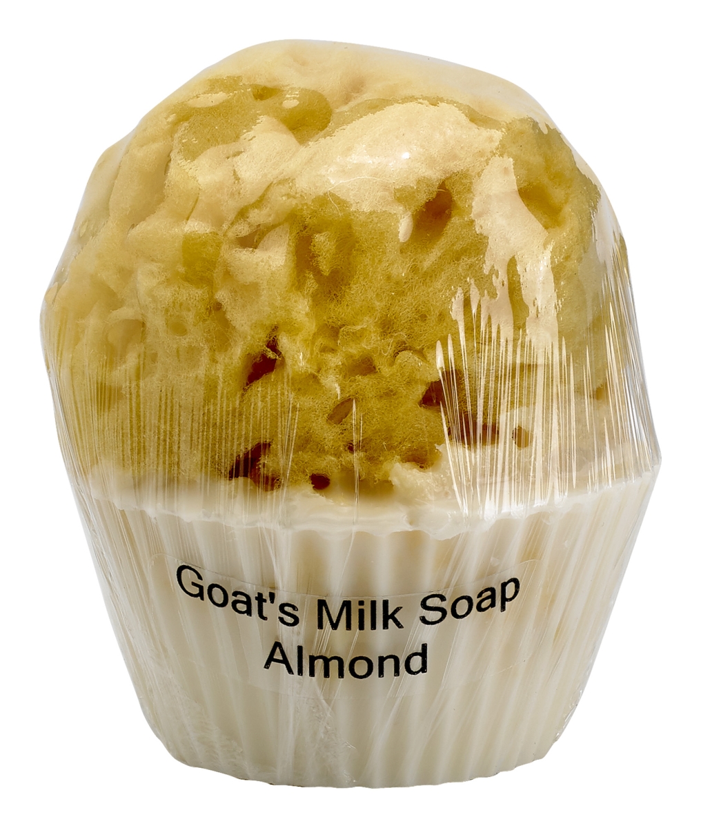 Goats Milk TS-01 Cupcake soap with sponge - Almond, 3 oz -  Gracian, GR134790
