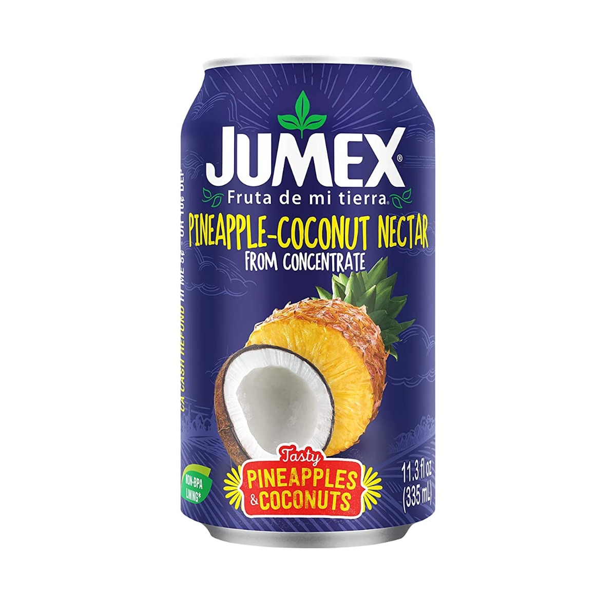 Picture of Jumex KHRM00034696 11.3 oz Coconut Pineapple Nectar Juice