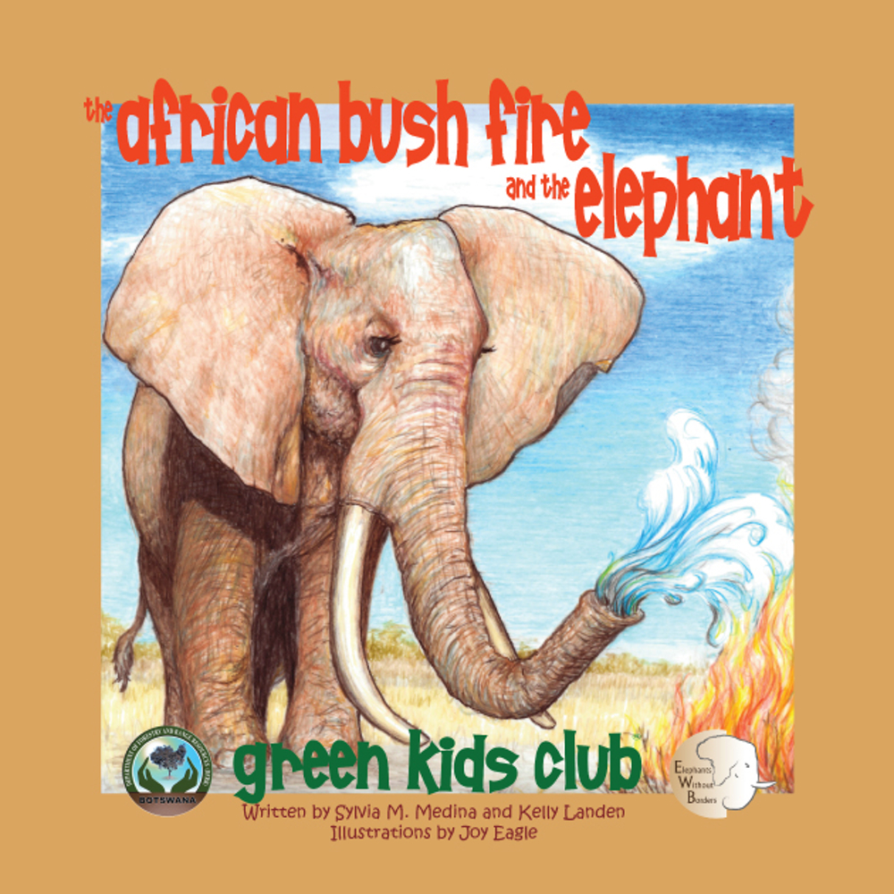 Picture of Green Kids GKC-B20140069 African Bush Fire & The Elephant