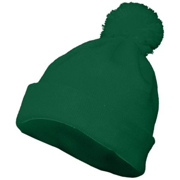 Picture of ASI 6816.035.OS Pom Beanie&#44; Dark Green - One Size