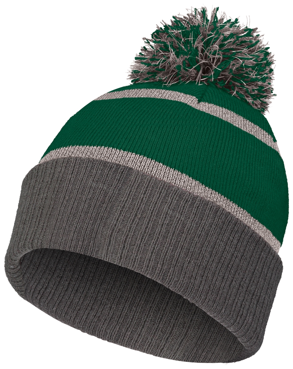 Picture of Holloway 223816.E79.OS Reflective Beanie&#44; Forest & Carbon - One Size