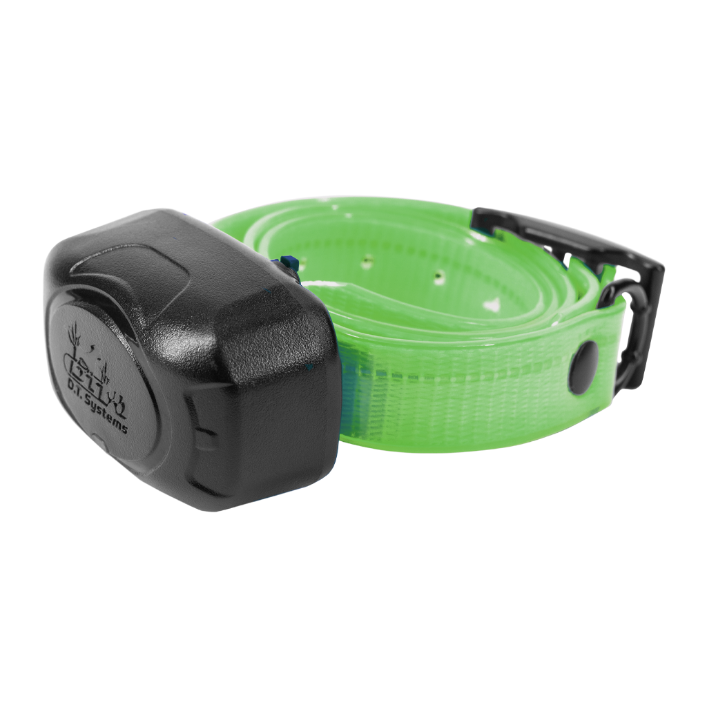 Picture of DT Systems DD Addon-G Add on or Replacement Collar for DD700 - Green