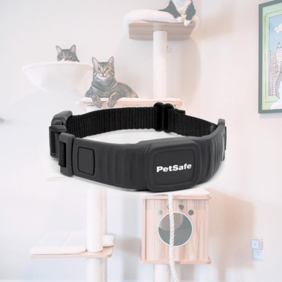 Picture of Pet Safe PBC00-17758 Nano Bark Collar for Dogs