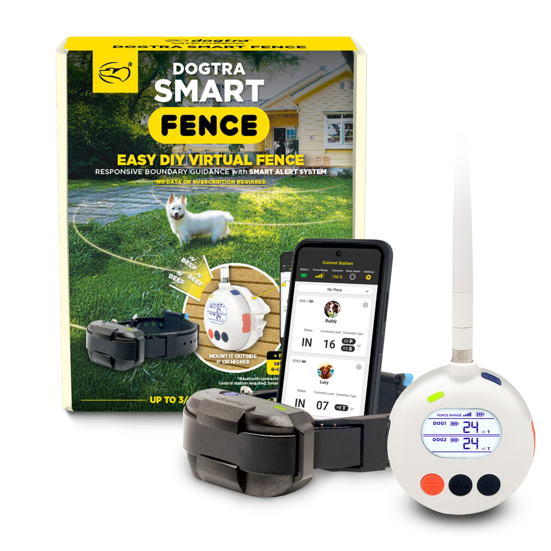 D-SmartFence Smart Fence for Dogs