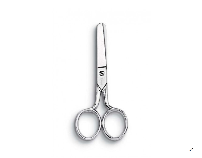 4 in. Pocket Scissors