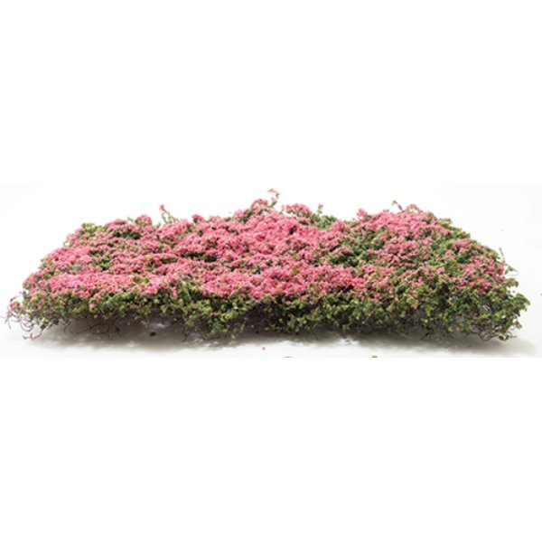 CABV Bougainvillea Vine for Dollhouse Miniature