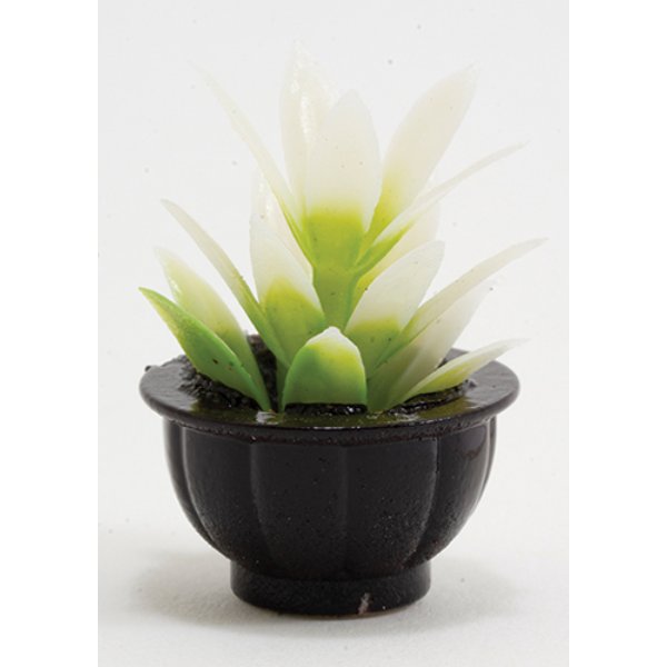 CAPP4 White Plant in Black Pot for Dollhouse Miniature