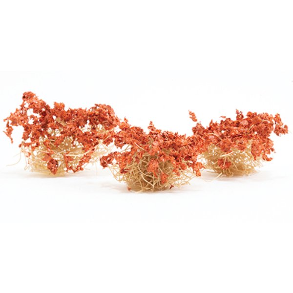 CA0312 Rust Brittle Bushes for Dollhouse Miniature - 3 Piece