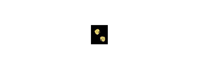 CAT1A Brass Small Heart for Dollhouse Miniature, 2 Piece