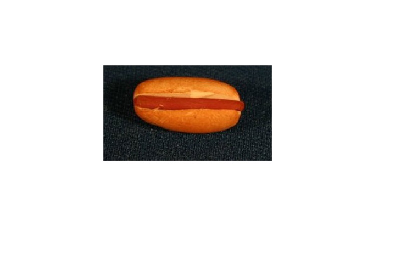 RND67 Hot Dog Decorative Figure for Dollhouse Miniature
