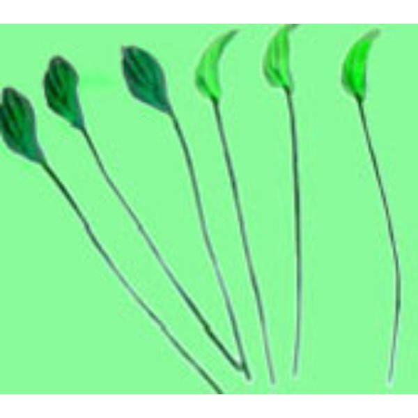 VMMF2501 Petals for Dollhouse Miniature - 12 Piece