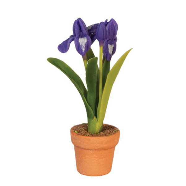 AZG6787 Potted Iris for Dollhouse Miniatures - Purple