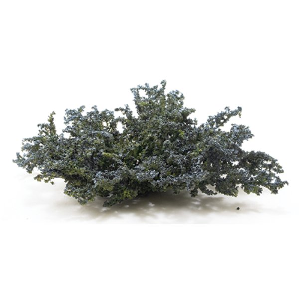 CAGC01 Juniper Ground Cover for Dollhouse Miniature - Blue & Green