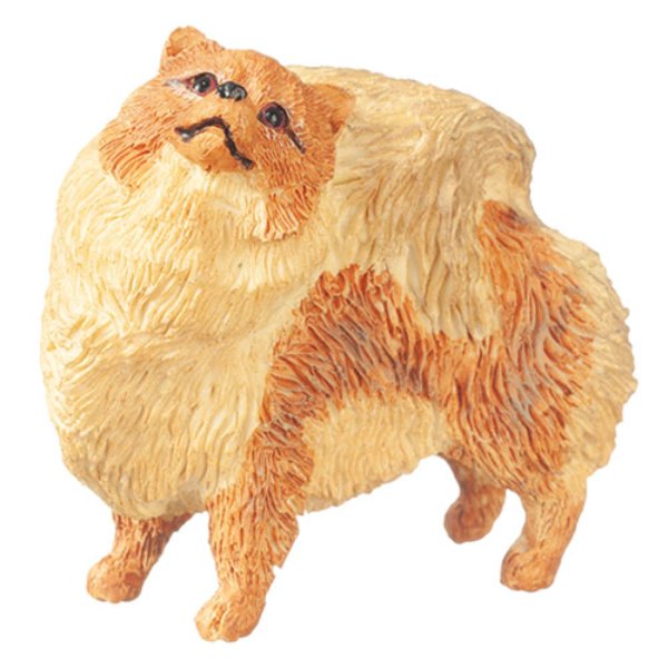 AZA6024 Pomeranian for Dollhouse Miniature