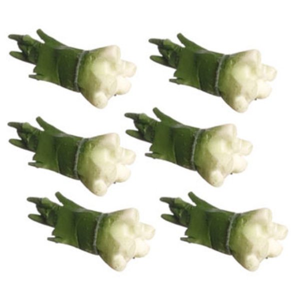 FCA3259 Green Onions for Dollhouse Miniature