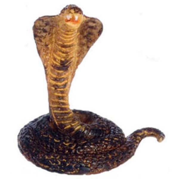 FCA3379 King Cobra for Dollhouse Miniature