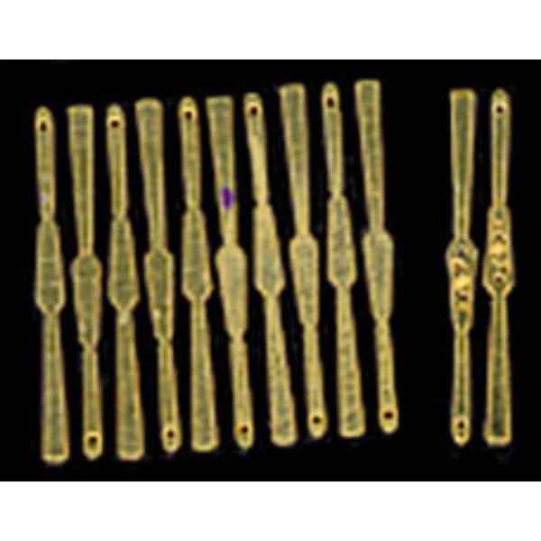 CAT10A Brass Fan Sticks with 2 Guards for Dollhouse Miniature - 12 Piece