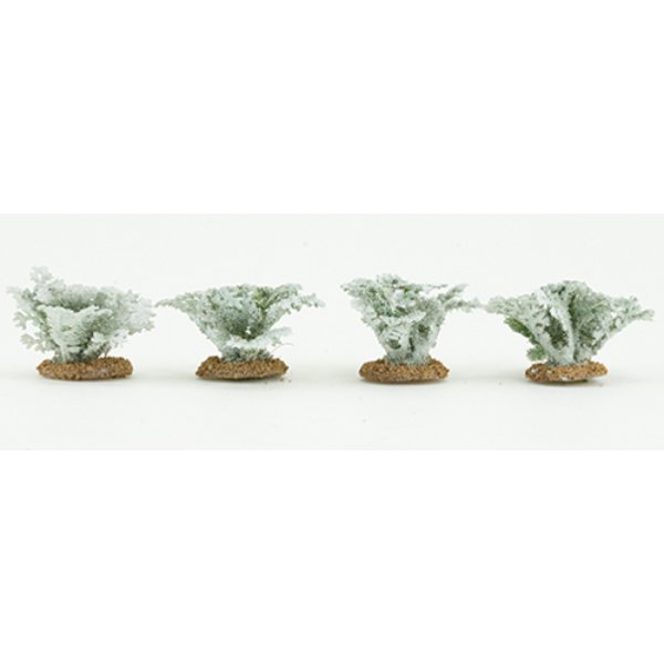 CA0219 Dusty Miller Plants for Dollhouse Miniature - 4 Piece