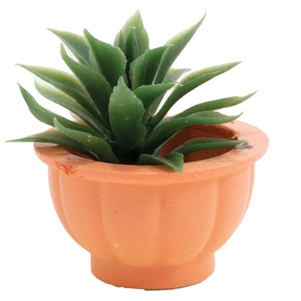 CAPP7 Plant in Terra Cotta Pot for Dollhouse Miniature
