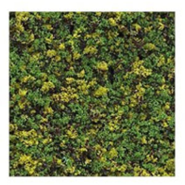 MBLFM3GM 25 g Foliage Medium Green Mix for Dollhouse Miniature