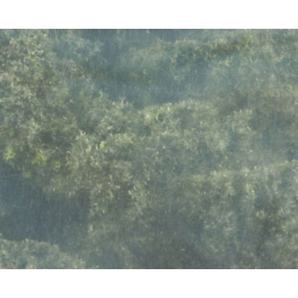 WDSFC149 Bushes Clump Foliage for Dollhouse Miniature - Forest Blend